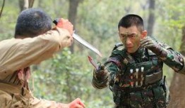 特种兵之霹雳火在线观看,热血激战，铁血铸就英雄本色